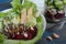 Healthy salad with beets, tofu, cucumber,