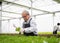 Healthy senior horticulturist man working in agribusiness with hydroponic farming grow fresh green vegetable salad.