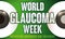 Healthy and Sick Eyes to Prevent in World Glaucoma Week, Vector Illustration