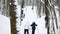 Healthy sport family - mother, father and child - skiers in winter snow forest