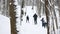 Healthy sport family moving slides ski in winter snow forest