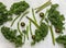 A healthy spread of fresh raw green vegetables. broccolini, kale, peas, beans, lettuce, tomatoes