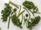 A healthy spread of fresh raw green vegetables. broccolini, kale, peas, beans, lettuce, tomatoes