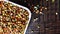 healthy sprouted lentils isolated on brown background