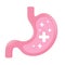 Healthy Stomach Intestine Icon