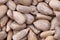 Healthy sunflower seed as food background