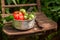 Healthy and tasty tomatoes in rustic greenhouse