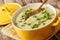 Healthy thick egg soup with green onions close-up in a bowl. horizontal