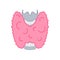 Healthy thyroid gland body organ outline icon