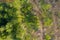 Healthy trees next to deforested forest seen from above