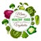 Healthy vegetable food poster. Vegetarian menu