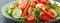 Healthy vegetarian vegetable salad of fresh lettuce, cucumber, sweet pepper and tomatoes. Vegan plant-based food. Banner