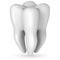 Healthy white molar tooth