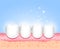 Healthy white teeth after the treatment and care of the teeth. Medical direction dentistry. White enamel of the tooth. For dentist