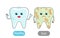 Healthy white tooth and a bad tooth with caries. the concept of teaching children the opposite adjective Healthy and Sick