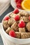 Healthy Whole Wheat Shredded Cereal