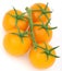 Healthy yellow cherry tomato with green stalk