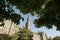 Healy Hall through trees