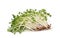 Heap of alfalfa sprouts on white background