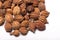 Heap of amomum villosum Lour dried fruit