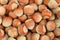 Heap of big hazelnuts in shells. Closeup