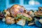 Heap of Boletus edulis mushrooms laying on the blue background