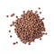 Heap of brown lentils isolated