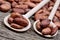 Heap of cacao beans in a spoons on table