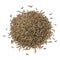 Heap of Caraway seeds