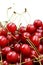 Heap cherry fruits on white background