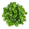 Heap of diced green. onion, a set of three types. Isolate on a white background, top view.