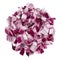 Heap of diced red.onion. A set of three types. Isolate on a white background, top view.