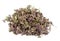 Heap of dried marjoram