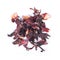 Heap of dried roselle flower tea carcade