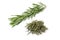 Heap of dried rosemary and fresh rosemary twig