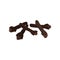 Heap of dry brown cloves. Cooking ingredient. Aromatic spice for dishes and mulled wine. Flat vector design