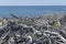 heap of dry wood on shore, Marina di Alberese, Italy