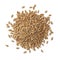 Heap of Einkorn wheat seeds