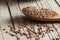 Heap of Flax seeds or linseeds in spoon on wooden backdrop