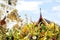 Heap of fragrant flowers with incense for worship the Buddha