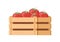 Heap fresh appetizing organic tomatoes in wooden box isometric icon vector illustration