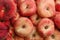 Heap of fresh donut peaches as background, closeup