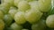 Heap of fresh green grapes