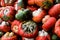 Heap of fresh orange pumpkins