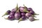 Heap of fresh raw purple mini eggplants
