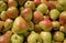 Heap of Fresh Ripe Forelle Pears in the Market of Santiago, Chile, South America