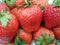 Heap of fresh ripe strawberry fruit with green sepal