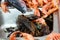 Heap of fresh seafoods