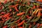 Heap of fresh Serrano peppers on counter at market, closeup