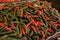 Heap of fresh Serrano peppers on counter at market, closeup